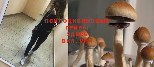 MDMA Premium VHQ Медногорск