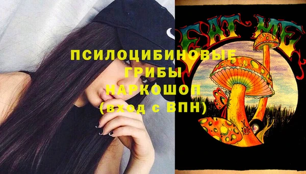 мяу мяу мука Медвежьегорск