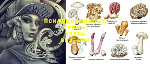 MDMA Premium VHQ Медногорск