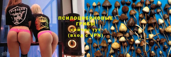 мяу мяу мука Медвежьегорск