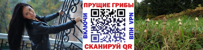 Псилоцибиновые грибы Magic Shrooms  Горбатов 